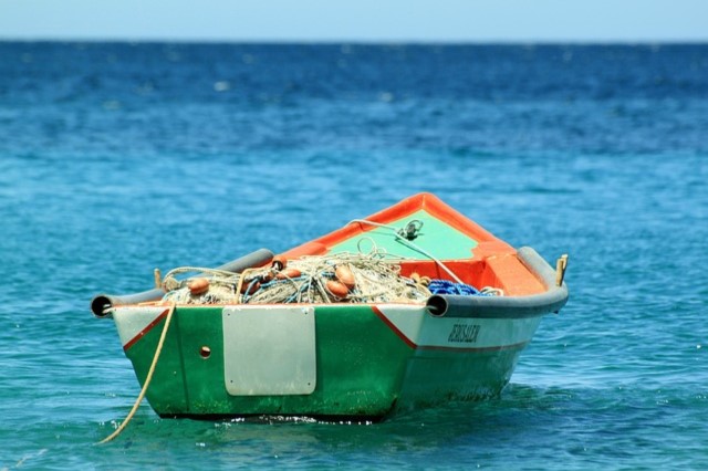 Saudi aquaculture asset