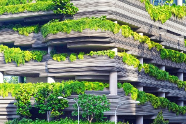 riyadh become green city